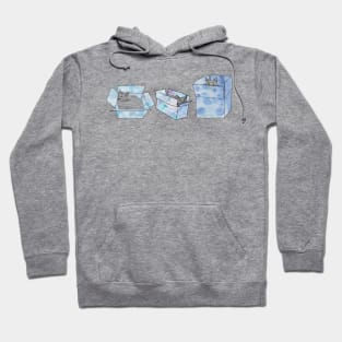 Three cats sitting in blue boxes! Hoodie